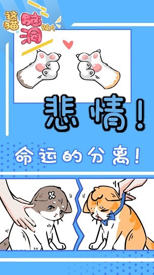 这猫脑洞贼大
