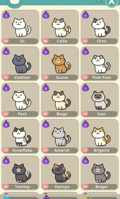 神秘猫咪字典中文版下载