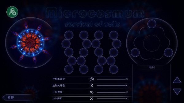 微生物模拟器中文版下载
