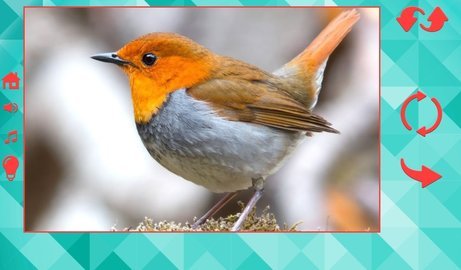 3D成人拼图下载