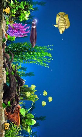 3D大鱼吃小鱼原版下载