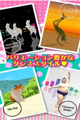 adanza最新版下载