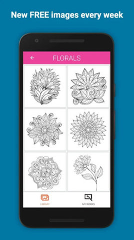 Colorify免费着色书最新版下载
