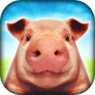 小猪猪模拟器手机版下载
