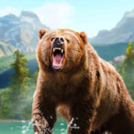 野生动物冲突下载