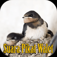 终极燕子模拟器下载