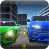 真正世界驾驶员下载