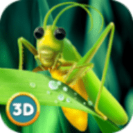 印度蝗虫模拟器下载