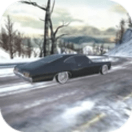 真实汽车模拟2021下载