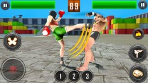 真正的摔跤革命2020下载