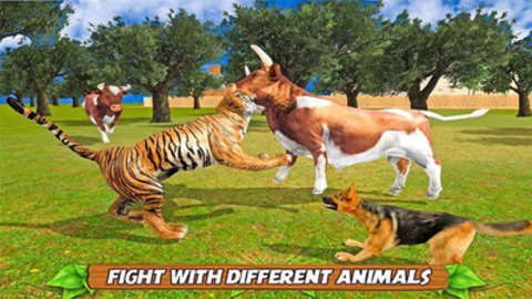 终极猫科动物模拟器下载