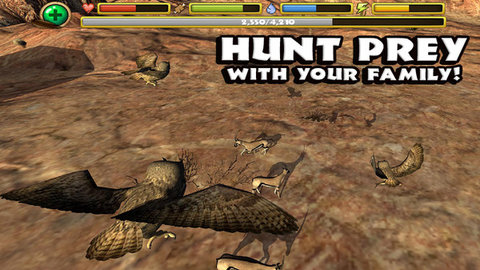 终极猫头鹰模拟器完美版下载