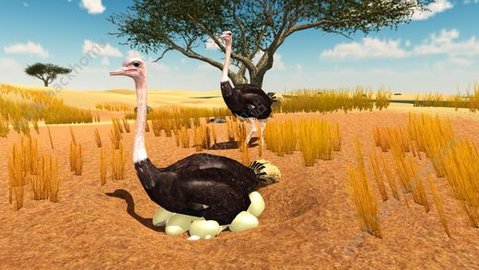 终极鸵鸟模拟器下载