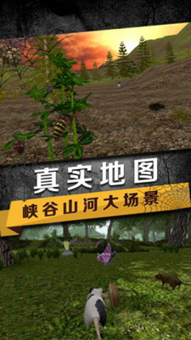 蜘蛛模拟生存下载