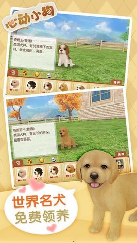 心动小狗下载