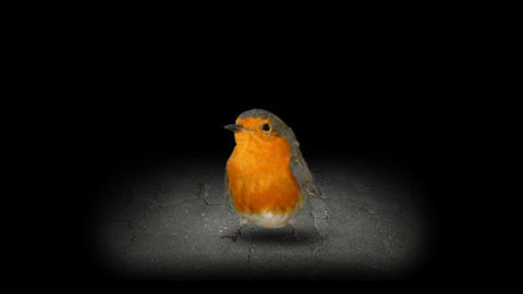 种子模拟器手机版