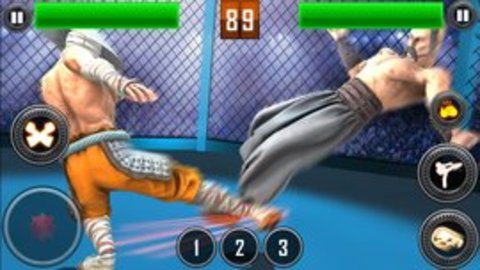 真正的摔跤革命2020