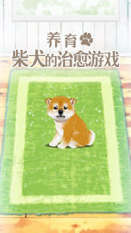 养育柴犬的治愈中文版