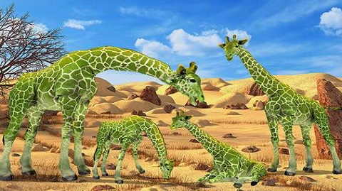 长颈鹿雨林大冒险下载