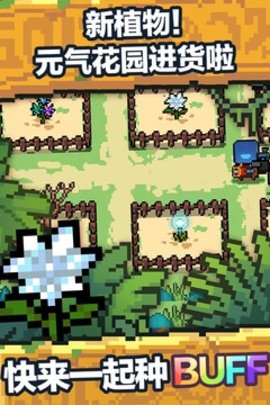 元气骑士2.4.1版本