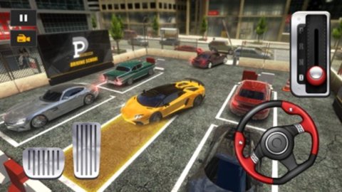 真实的手动停车下载