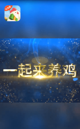 一起来养鸡赚钱版