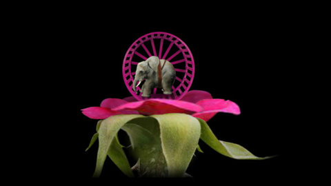 种子模拟器中文版下载