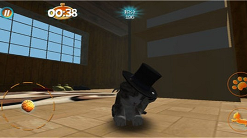 真实小猫3D模拟