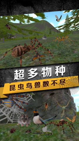 蜘蛛模拟生存下载
