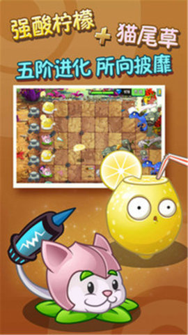 植物大战木乃伊40关版本下载