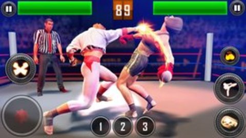 真正的摔跤革命2020