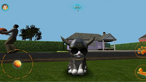 真实小猫3D模拟