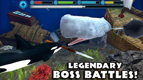 终极虎鲸模拟器下载