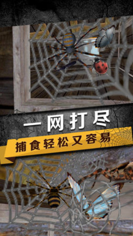 蜘蛛模拟生存下载