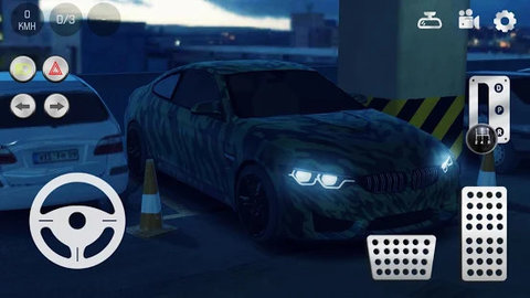 真实泊车2免谷歌下载