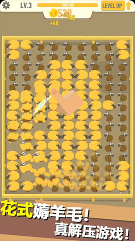 阳光摇钱树下载