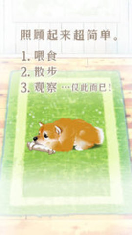 养育柴犬的治愈中文版