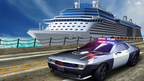 真正的警察模拟器下载